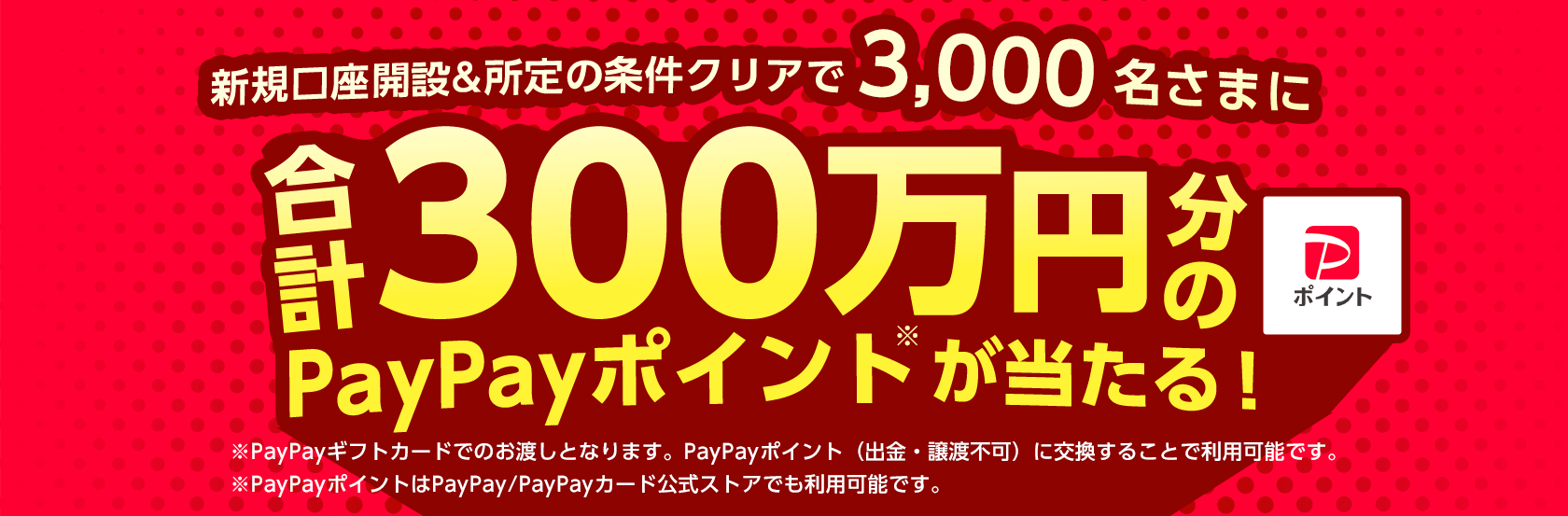 新規口座開設でPayPayポイントプレゼントキャンペーン