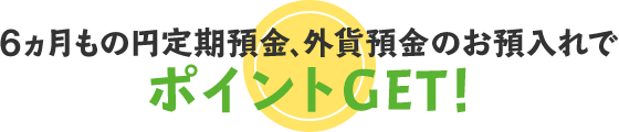 6ヵ月もの円定期預金、外貨預金のお預入れでポイントGET