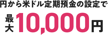 円から米ドル定期預金の設定で最大10,000円