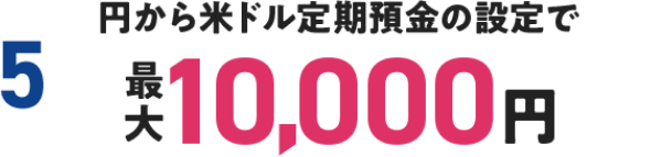 円から米ドル定期預金の設定で最大10,000円