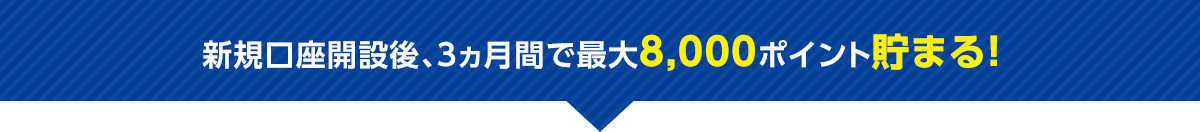 新規口座開設後、3ヵ月以内のお取引で最大8,000ポイント貯まる！