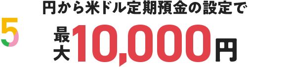 円から米ドル定期預金の設定で最大10,000円