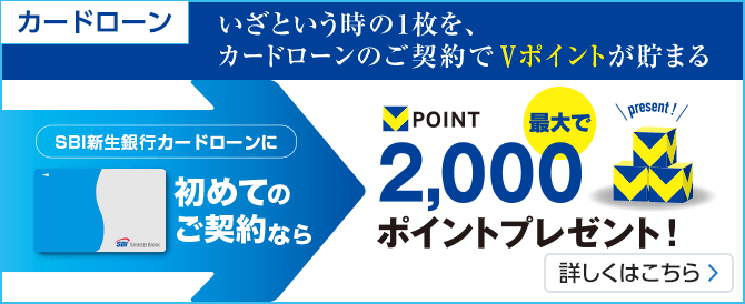 SBI新生銀行カードローン - カードローン | SBI新生銀行